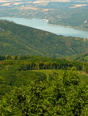 A Duna látképe Dobogókőről