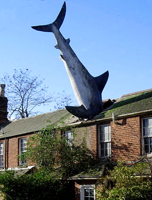 Az oxfordi cápa