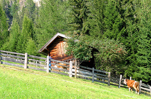 Alpbach