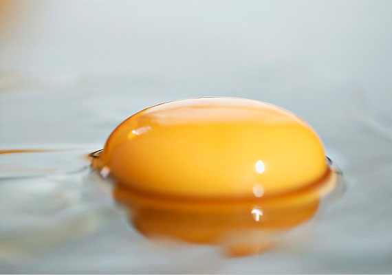 	A tojásban a szénhidrátok és C-vitamin kivételével minden megtalálható. Elsősorban a sárgája gazdag vasban.