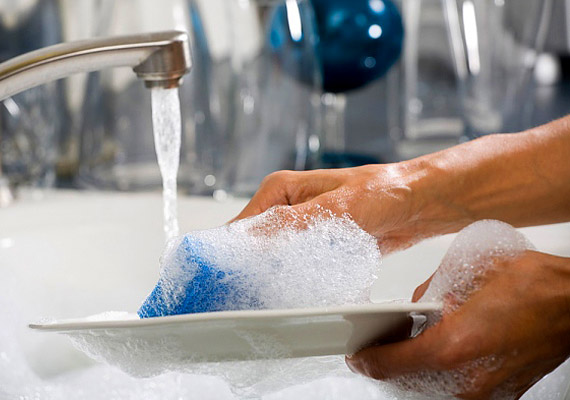 	A hónapokig használt mosogatószivacs kellemes otthont biztosít a veszélyes kórokozóknak - akár a szalmonellabaktériumnak is.