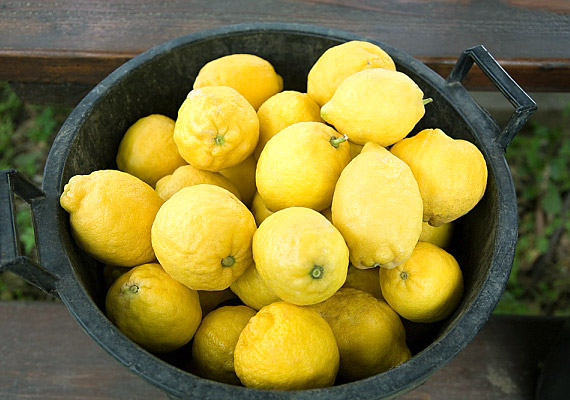 
                        	A citrusfélék fogyasztása egészségügyi szempontból pozitív hatással van a mell mirigyállományára, valamint nyirokrendszerére. Emellett C-vitamin-tartalmuk miatt és ajánlott a fogyasztásuk.