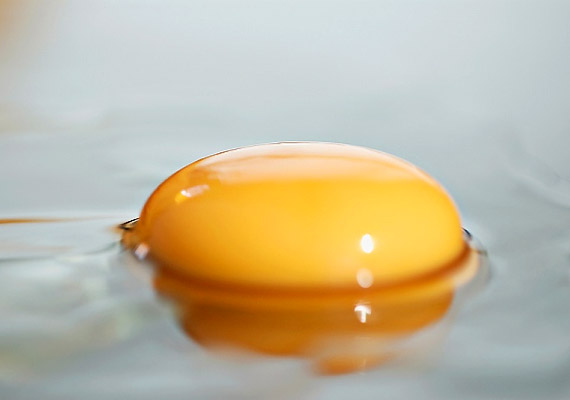 	A D-vitamin egyik legjobb forrása egyértelműen a tojássárgája.