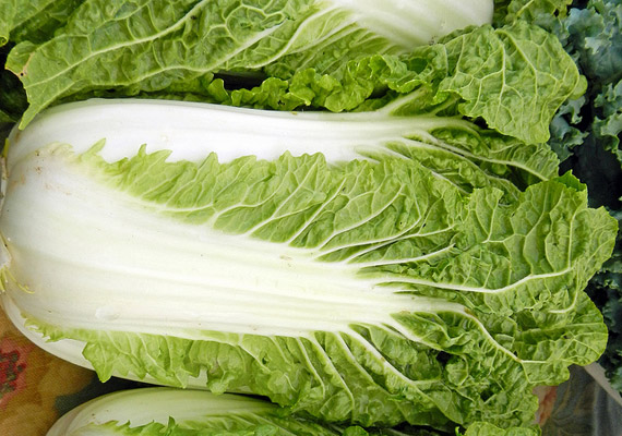 	A kínai kel - Brassica rapa - 91,99 pontja a második helyre volt elegendő. A hosszúkás alakú zöldség sok C-vitamint és karotint tartalmaz, ráadásul levelei nem annyira rágósak, mint közeli rokonáé, a fejes káposztáé.