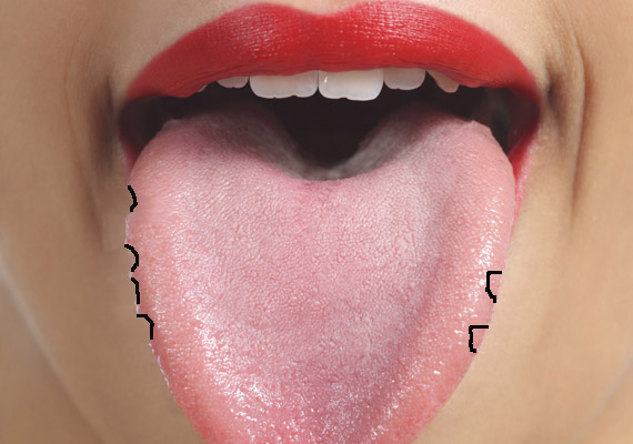 	Mélyedéseket, fogbenyomatokat figyelsz meg a nyelved két oldalán? A bal oldali tünet májproblémákra, a jobb oldali pedig a lépet esetlegesen érintő zavarokra utalhat. Tudod, pontosan hol helyezkednek el a zsigeri szerveid?