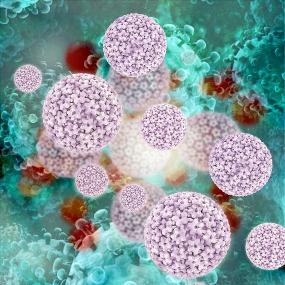 
                        	Sok esetben ugyanígy tekintenek a HPV-re is, amely a leggyakoribb szexuális úton terjedő vírusnak számít: egy amerikai kutatás szerint a világ lakosságának 80%-a megfertőződök valamely típusával, ám az immunrendszer a legtöbb esetben magától elpusztítja azt. Az óvszer használatával nagy eséllyel megelőzhető a terjedése, ám akár hámsérülés útján is továbbadható a vírus. Az egyes típusok csak hámelváltozást okoznak, mások daganatot is előidézhetnek, amikor elkerülhetetlen a műtéti beavatkozás.