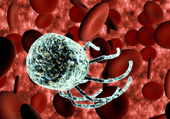 	A fenti képen egy vírus vörösvérsejtek ellen indított támadását láthatod.