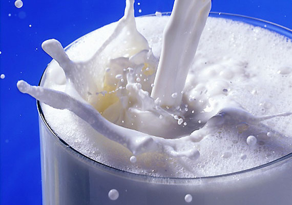 
                        	A tejben található fehérje, amely tejsavóból és kazeinből tevődik össze, beindítja a sejtekben található zsírok elégetését, ráadásul maga az ital elveszi az éhséget is.