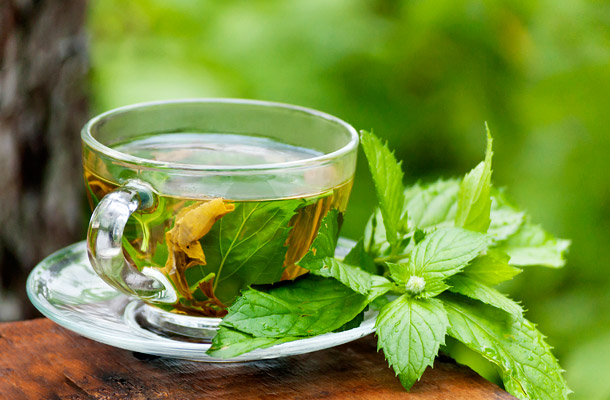 menta tea segíti a fogyást