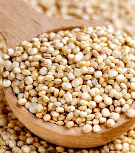  	Quinoa  	A quinoa magja számos olyan vitamint és ásványi anyagot tartalmaz, amely a hibátlan anyagcsere-folyamatokhoz szükséges. Nem csupán C- és E-vitaminban gazdag, de többféle B-vitamin is van benne: ezek mindegyike részt vesz a zsír- és szénhidrát-anyagcserében. Mivel az apró mag rendkívül magas rosttartalommal bír, fogyasztása serkenti az anyagcsere-folyamatokat.  	Kapcsolódó cikk: 	Zsírégető, emésztésserkentő és gluténmentes - Mi az? »