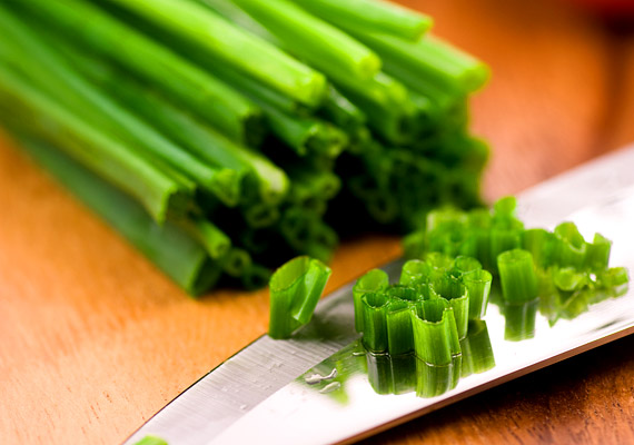 
                        	A tavasz első zöldfűszere a snidling vagy metélőhagyma, melyet többek között saláták, levesek ízesítésére használhatsz. Illóolajai jó hatással vannak az emésztésre, csökkentik a vér koleszterinszintjét, segítik az epe működését. Tudj meg többet róla!