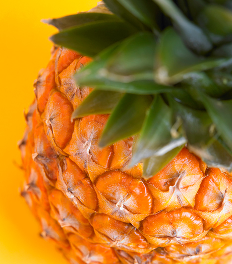  	Ananász  	Amellett, hogy ínycsiklandóan édes, és felfrissíti egész tested, az ananász nemcsak a nassolás iránt érzett vágyat, de éhségedet is csillapítja. Továbbá rostokban is igen gazdag, csak úgy, mint a fehérjebontó bromelin enzimben, mely hozzájárul az egészséges anyagcsere-működéshez.  	Kapcsolódó cikk: 	A 10 legjobb zsírégető gyümölcs »