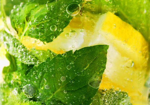 	A Sassy-víz hasznos összetevőinek köszönhetően támogatja a zsíranyagcserét, méregtelenít, felfrissít, illetve segíti a fogyókúrát. Nézd meg, mi van benne a citromon és a borsmentán kívül!