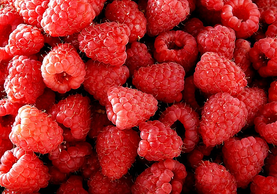 
                        	Ahogy a legtöbb bogyós gyümölcsben, a málnában is megtalálható egy kempferol nevű, jótékony hatású rákellenes vegyület. Emellett fogyasztása segít a lúgosításban, és serkenti az anyagcserédet is.