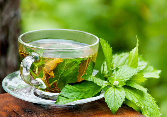 	Szakértők szerint a borsmenta illata - legyen szó teáról, cukorkáról vagy friss növényről - étvágycsökkentő hatással bír. A témában készült kutatásról korábbi cikkünkben olvashatsz.
