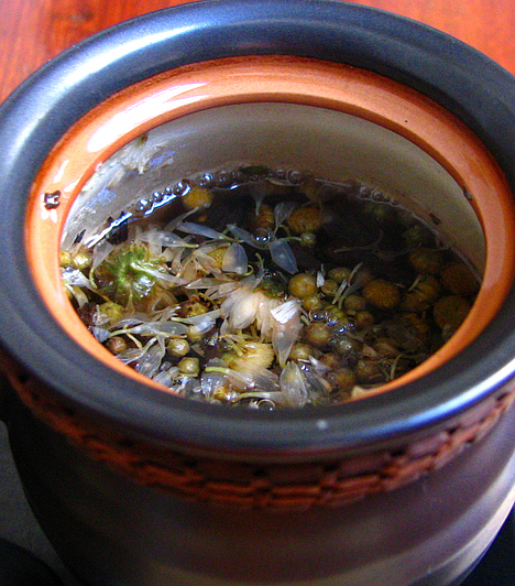 Pu’ erh teaA tea az azonos nevű kínai városról kapta nevét, mely egy kereskedelmi központ volt a Kína, Tibet és India felé vezető utakat keresztezve. A teakülönlegesség fogyasztásával csökkentheted étvágyadat és koleszterinszintedet, illetve serkentheted zsíranyagcsere-folyamataidat. Egy-másfél teáskanál tealevelet három deci vízzel forrázz le, majd hagyd két percet állni.