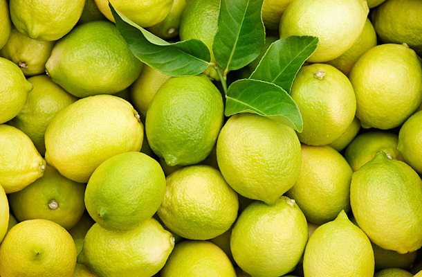 méregtelenítés és fogyókúra diéta citrommal