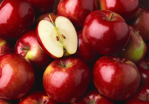 
                        	Az alma magas rosttartalmával, illetve a benne található pektinnek köszönhetően segít kiegyensúlyozottá tenni az emésztést. Próbálj ki egy ötnapos zsírégető almakúrát!