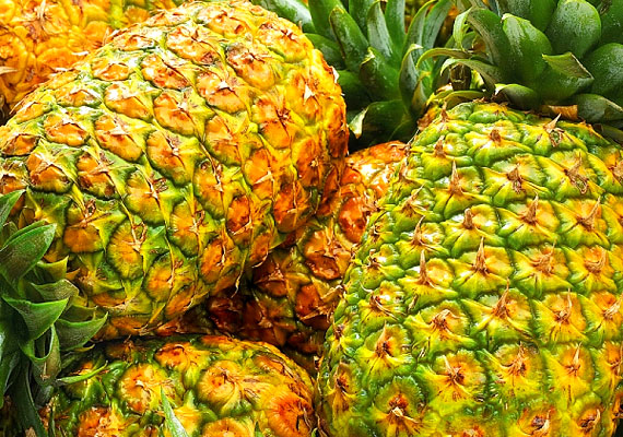 
                        	Az alacsony kalóriatartalmú ananász ballasztanyagaival segít megtisztítani a bélcsatornát, és alaposan megdolgoztatja az emésztőszerveket. Próbáld ki az ananászdiétát!