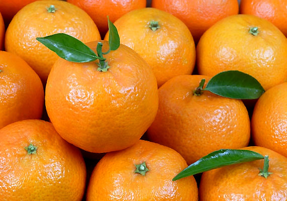 
                        	Amellett, hogy a mandarin C-vitamin-tartalmának köszönhetően segíti a természetes zsírégető folyamatokat, a gyümölcsben található hatóanyagok képesek szabályozni az emésztést is: csökkentik a gyulladásokat, ezzel megszüntetik a puffadást. Tudj meg többet a mandarinról!