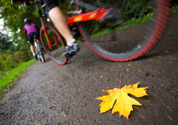 	A bringázáshoz jóval kedvezőbb a valamivel hűvösebb őszi időjárás, mint a nyári melegek. Ismerj meg néhány kihagyhatatlan biciklis túraútvonalat az országban!