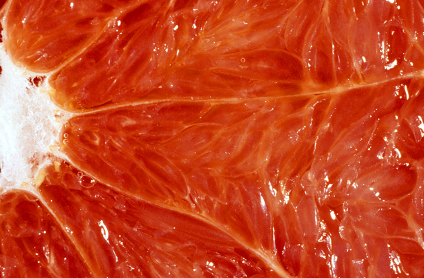 Mit eszik a grapefruit diéta alatt: Ehetsz grapefruitot a diéta alatt? - soleotech.fr