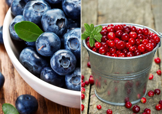 	A hidegebb éghajlat miatt elsősorban olyan gyümölcsök teremnek meg Svédországban, mint a kék, illetve a vörös áfonya. Egy texasi kutatás szerint az áfonyában lévő polifenolok molekuláris szinten gátolják a zsírsejtek fejlődését. Tudj meg többet a gyümölcs fogyasztó hatásáról!