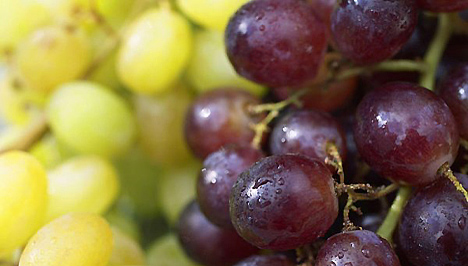 A fekete szőlővel ellátott diéta 6 nap alatt 4 kilogrammot veszít
