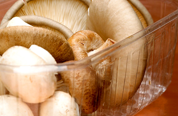 Reishi gomba fogyás. Méregteleníts shiitake gombával