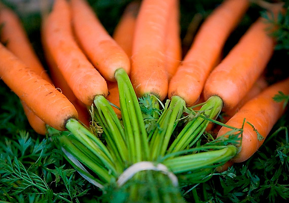 	A sárgarépa és más narancsszínű zöldségek az A-vitamin provitaminját, a béta-karotint tartalmazzák, melyből a szervezet elő tudja állítani a fontos zsírégető vitamint.