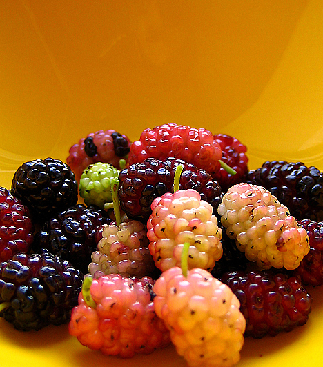 Bogyós gyümölcsökA ribizli, a szeder, a feketeáfonya és a cseresznye gazdag folátban, C-vitaminban és számos tápanyagban. Mindezek erősen antioxidáns hatásúak.