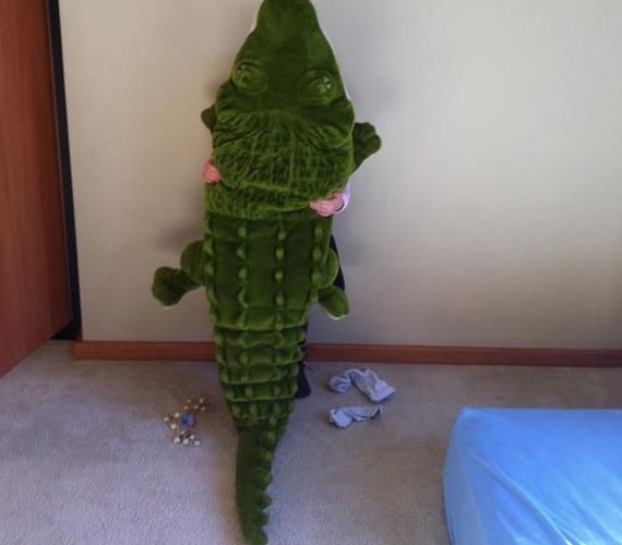 	Itt senki nem fog észrevenni - gondolhatta a kisgyerek, és maga elé húzta a kétméteres zöld krokodilt.
