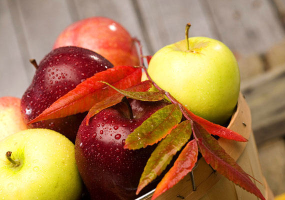 	Az alma az egyik leghatékonyabb és legolcsóbb agypörgető, ilyenkor pedig jóval több vitamin és ásványi anyag van benne, mint a téli hónapokban.