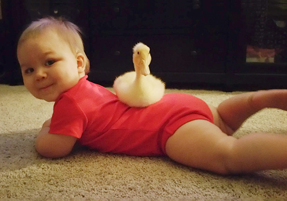 	Tyler kilenc hónapos volt, amikor Beaker a családhoz került. A gyerek első szava a kacsa volt.