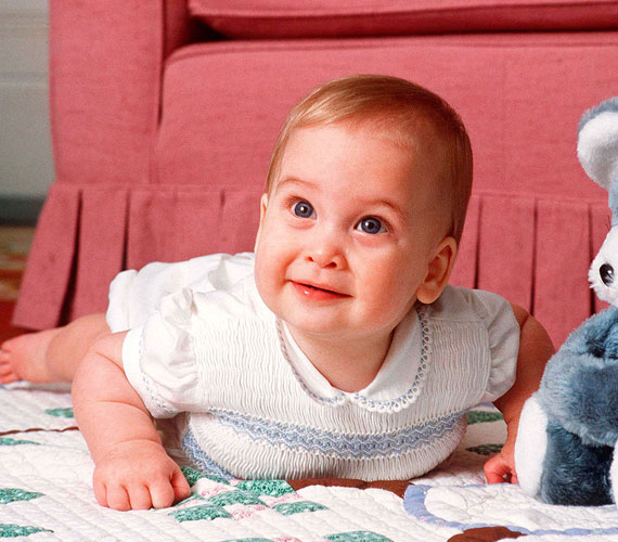 	Vilmos herceg Károly walesi herceg és Diana hercegnő első gyermekeként született 1982-ben.