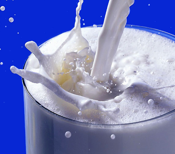 
                        	A tej élet, erő, egészség szlogen mostanra erősen megtépázódott - nem csoda, hiszen kiderült, hogy a túlzott tejfogyasztás laktózintoleranciához vezetnek. Ez a fajta túlérzékenység pedig az emésztési problémák mellett pszichés zavarokban is megnyilvánulhat.