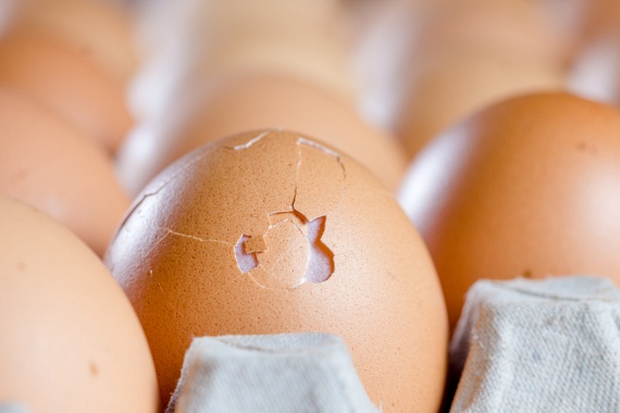 
                        	Mi legyen a tojással, ha megrepedt a héja? A legnagyobb óvatosság mellett is előfordulhat ilyen baleset, ilyenkor a legjobb azonnal felütni, és felhasználni. Ha viszont a tojás már a dobozban is sérült, tehát nem tudni, mikor repedt meg, nem érdemes elfogyasztani. Bár úgy mondják, hogy ha a héj alatti hártya ép, akkor a tojásnak nincs baja, kockáztatni mégsem érdemes, mivel ez esetben fennáll a szalmonellafertőzés veszélye.