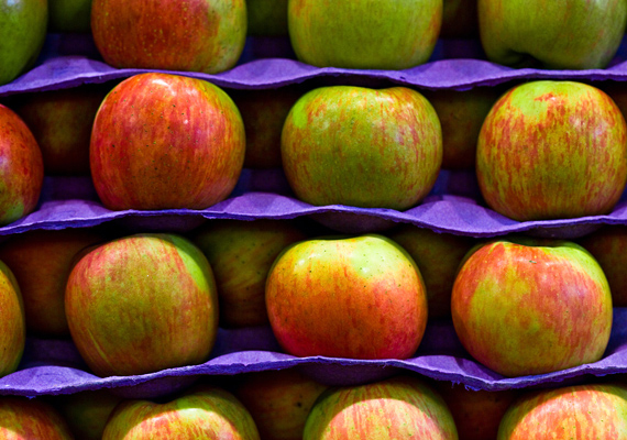 	A makrobiotikában ugyan a kevésbé fontos szerepet játszanak a gyümölcsök, de persze azért fogyaszthatod őket, lehetőleg olyat válassz, ami az évszaknak megfelel. Az unalmasnak hitt almát félbevágva, a magházát kiszedve meg is sütheted - tegyél bele előtte egy kis szilvalekvárt és diót is, és mennyei édességet kapsz.