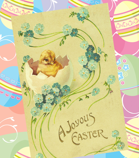  	Csibés ünnep  	Vidám és örömteli hangulatú húsvétot kíván ez a bájos kiscsibe, aki éppen csak most bújt ki a biztonságot jelentő tojásból.  	Hasonló képeslapot nálunk is találsz. »