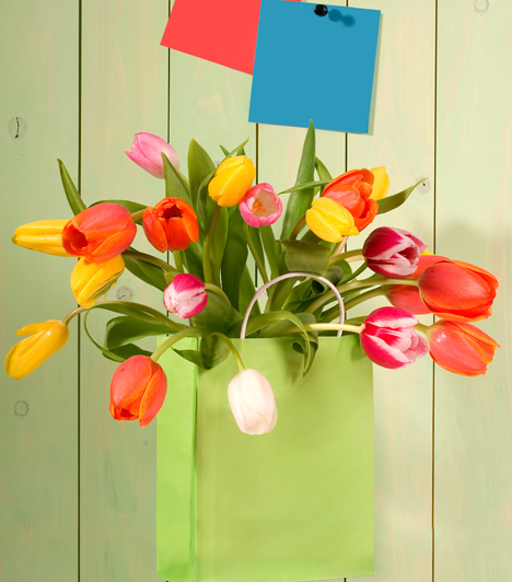  	Szivárvány csokor  	Remekül feldobja az egyszerű virágcsokrot, ha különleges tartóban tárolod. Helyezd befőttes üvegbe a színpompás tulipánokat majd tedd be egy egyszerű dísztáskába a vízbe állított csokrot. Akaszd fel a bejárati ajtóra, vagy csak tedd ki az ablakba és gyönyörködj a virágok pompájában.