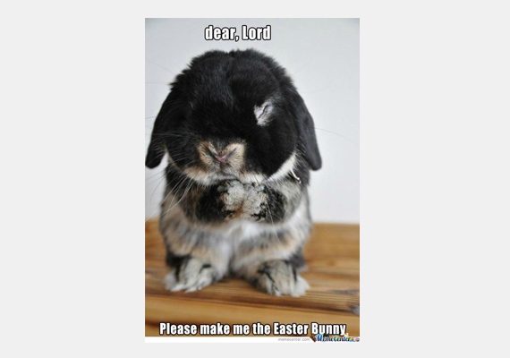 
                        	- Kérlek, uram, hadd legyek én a húsvéti nyuszi!