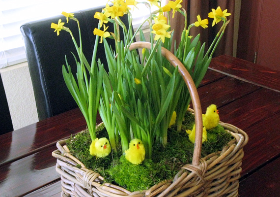 
                        	A nárciszt ültesd egy kosárba, a föld tetejét pedig fedd be mohával. Tetszés szerint díszítsd aprócska húsvéti figurákkal.