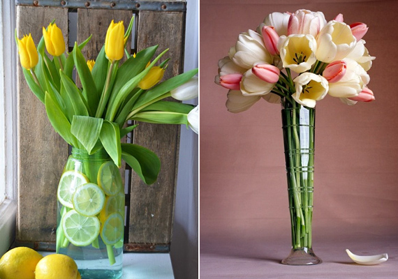 	A tulipánokat állíthatod kancsóba vagy vázába is. Ha az előbbi megoldást választod, nem árt, ha picit rendezetlenül szórod el a szálakat, és némi citromkarikával is díszíted a tartójukat - ettől sokkal természetesebbnek tűnik majd. Ugyanakkor ha eleganciát sugárzó csokrot szeretnél, akkor mindenképp a szimmetrikus formákat válaszd.
