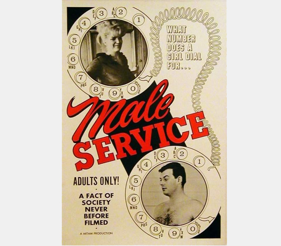 
                        	1966-ban a Male Service című, tabudöngetőnek szánt film a rendelésre érkező, szőrös mellkasú férfiak erkölcsös háziasszonyokkal való kalandjait mutatja be.