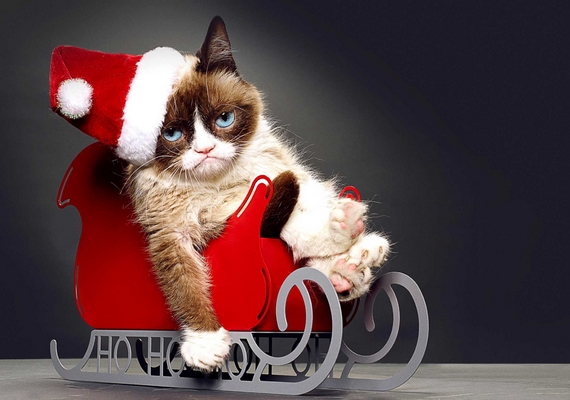 	Grumpy Cat nem szellemül át az ünnepekkor sem, pedig még karácsonyi film is készült a főszereplésével.
