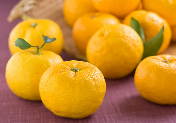 	A citromnak - illetve a többi citrusnak - nemcsak illatosító vagy tisztító szerep juthat a hűtőben, de remek szagelszívó is. Tárold félbevágva.