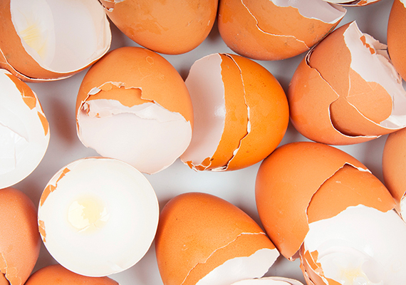 
                        	Nemcsak a tojás főzővizét, de a megmaradt héjat is felhasználhatod, segítségével például hófehérré varázsolhatod a mosástól beszürkült vagy besárgult ruhákat. Ha szeretnéd tudni, pontosan hogyan, kattints ide!