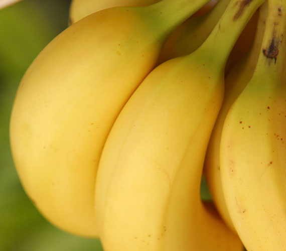 
                        	A banánból is kitűnő arcpakolás készíthető száraz bőrre.