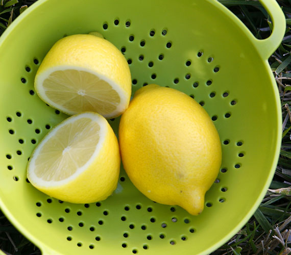 	A citromlé elpusztítja a bőrön a meleg hatására elszaporodó baktériumokat, ezáltal pedig nem alakul ki kellemetlen testszag. Fele-fele arányban keverd össze vízzel, és vattapamaccsal töröld át a bőrt, ha szükséges.