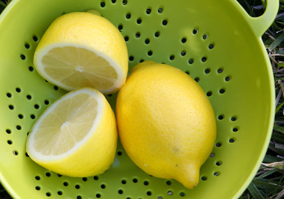 
                        	Szépülés citromlével - Tisztítsd meg a bőröd a szokásos kozmetikumaiddal, majd facsard ki egy citrom levét, és vattakorong segítségével töröld át az arcod. Körülbelül tíz perc után öblítsd le meleg vízzel. A citromsav rendkívül hatékonyan távolítja el az elhalt hámsejteket. Ráadásul a C-vitamin egy remek antioxidáns, stimulálja a kollagén termelését, valamint csökkenti az akné utáni hegek maradványait is. Hetente minimum három alkalommal ismételd meg a kezelést.